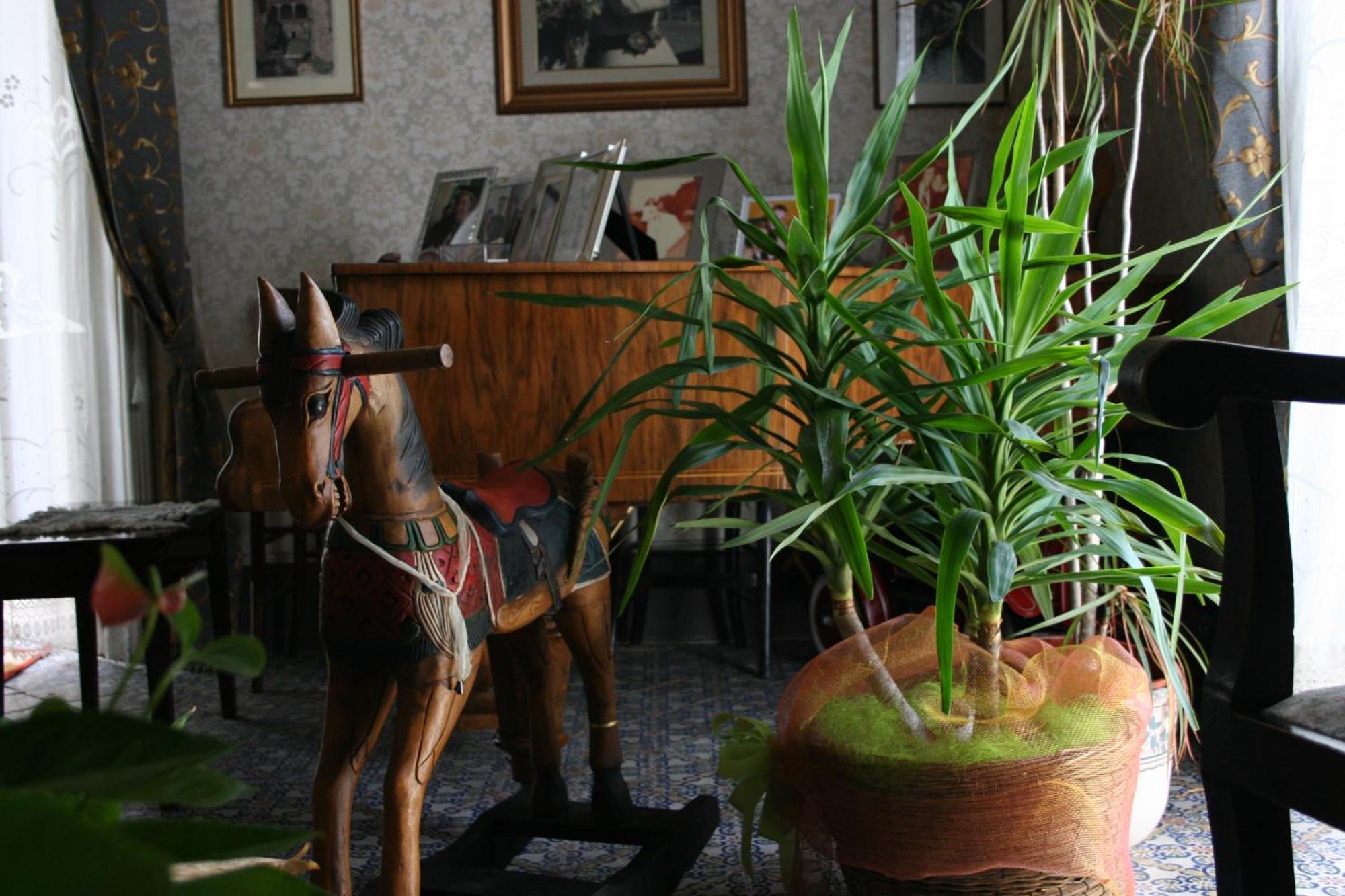 Palazzo Il Cavaliere B&B De Charme Μόντικα Εξωτερικό φωτογραφία
